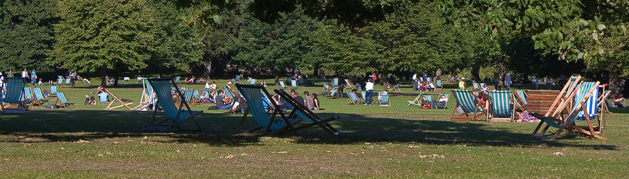 Trees in park