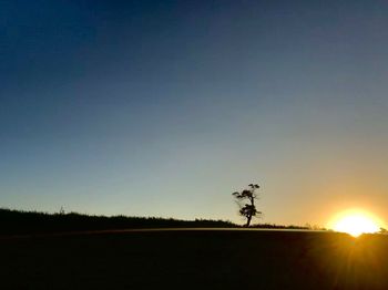 Silhouette trees on field against clear sky at sunset