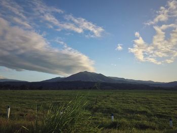 Scenic view of field against sky