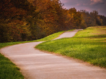 Road passing through field