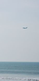 Bird flying over sea against clear sky