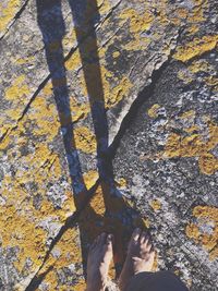 Low section of person standing in the dark