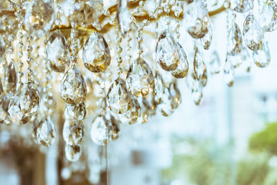 Close-up of chandelier