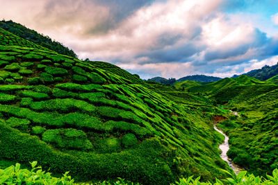 Scenic view of green landscape against sky