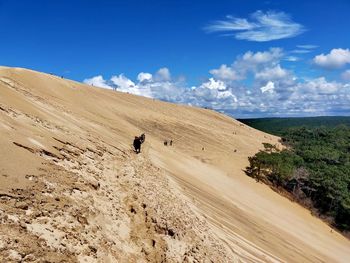 Scenic view of desert against sky