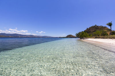 Scenic view of sea against clear blue sky