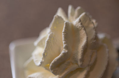 Close-up of whipped cream