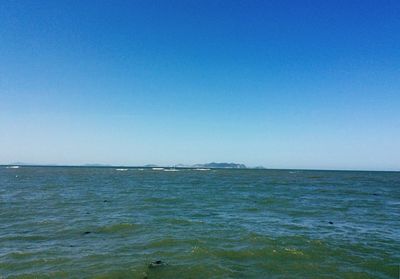 Scenic view of sea against clear blue sky