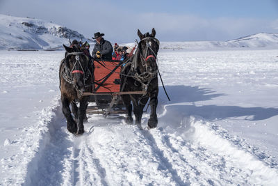 View of horse on snow covered field against sky