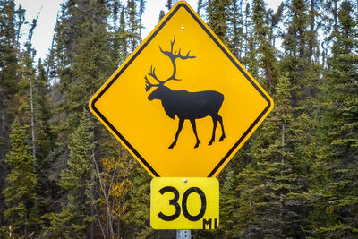 Road sign in a forest