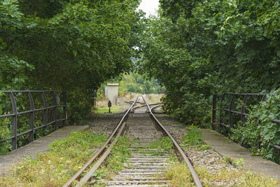 Railroad tracks amidst trees in forest