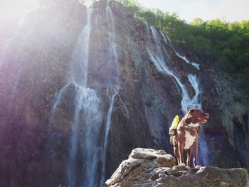 Low angle view of man standing on cliff against waterfall