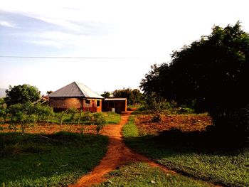 Houses by trees against sky