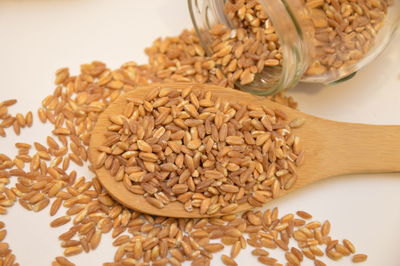 Close-up of wheat