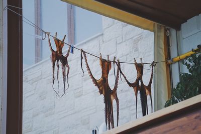 Low angle view of clothes hanging on wall