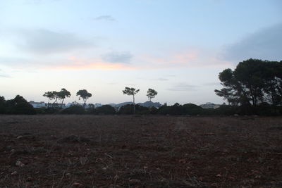 Scenic view of field against sky during sunset