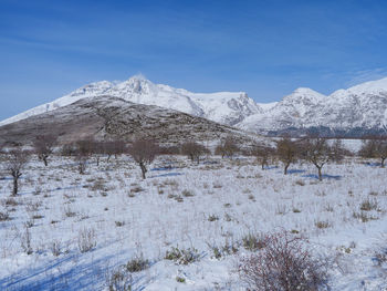 Snow covered landscape against sky