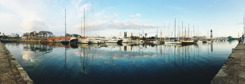 Sailboats moored in harbor