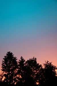 Low angle view of silhouette trees against sky during sunset