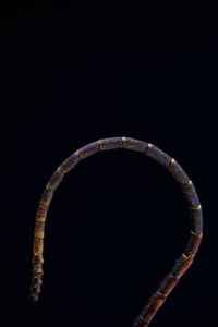 Close up of electric lamp against black background