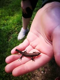 Close-up of person holding hands