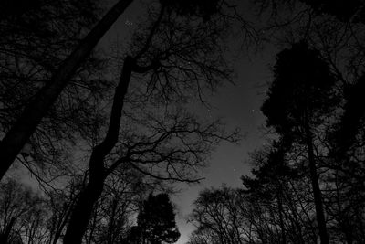 Low angle view of silhouette trees against sky