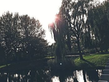 Trees by lake against sky