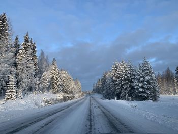 Snow covered road amidst trees against sky