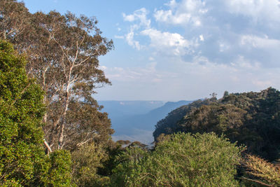 Scenic view of trees and mountains against sky