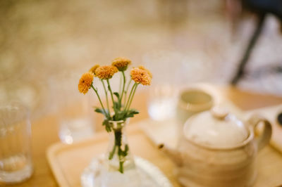 Close-up of white flower in vase on table