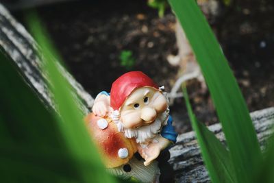 Close-up of garden gnome