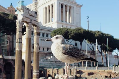 View of built structure