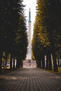 Trees by footpath in city against sky