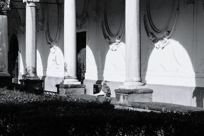 View of sculpture in park