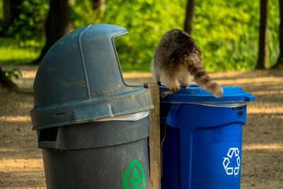 Close-up of garbage can against blue wall