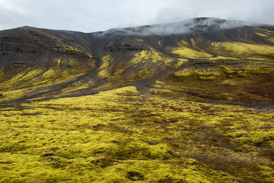 Eldhraun lava field, flow and ridge covered with green moss in iceland