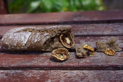 Close-up of food on table