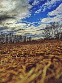 Surface level of land against sky