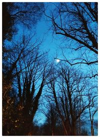 Low angle view of bare trees against sky