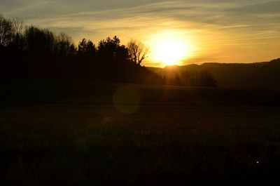 Silhouette trees on field against sky at sunset