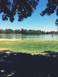 Scenic view of lake