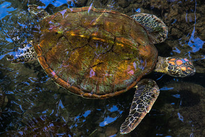 marine biology