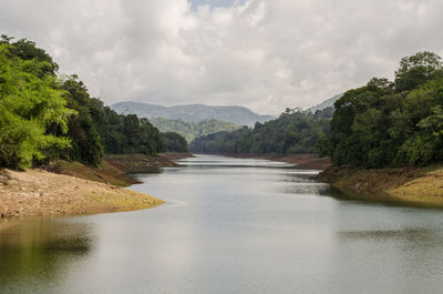 Scenic view of river amidst trees against sky