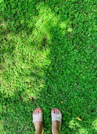 Low section of woman standing on grass