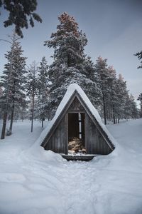 Snow covered trees on field by building against sky