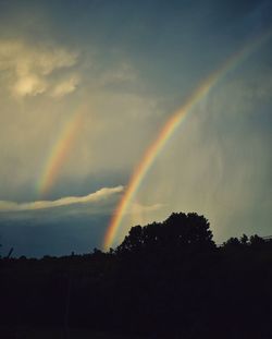 Rainbow over trees