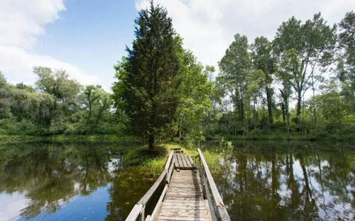 Pier on lake