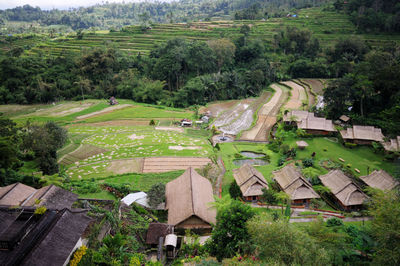 Scenic view of rural landscape