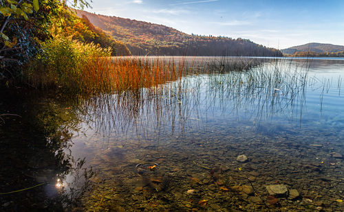 Reflection of trees in lake against sky