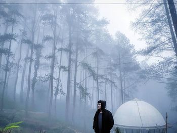 Rear view of man standing in forest during winter